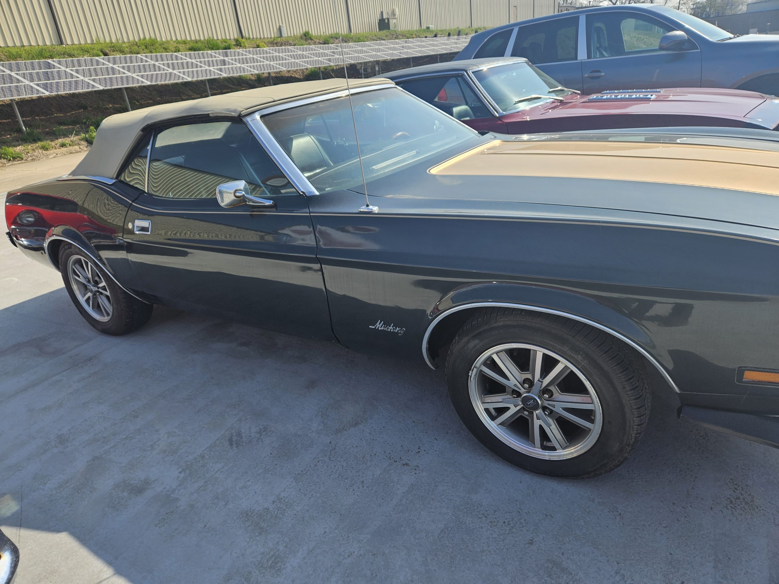 1973 mustang convertible